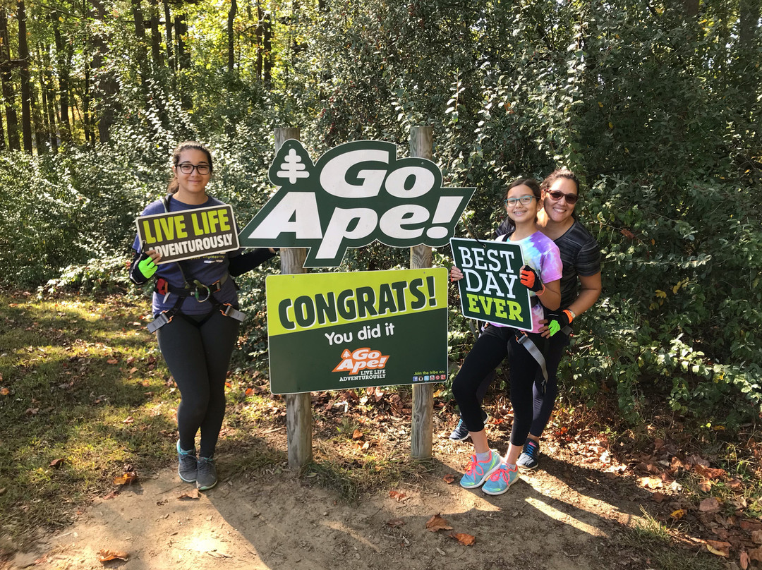 Go Ape Zipline & Adventure Park景点图片