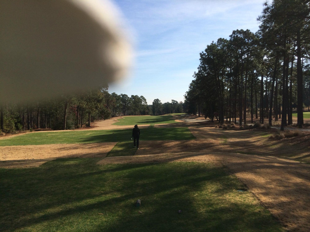Pinehurst Course Number 4景点图片