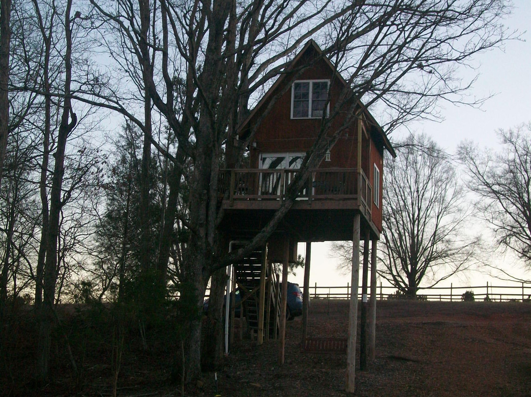 Treehouse Vineyards景点图片