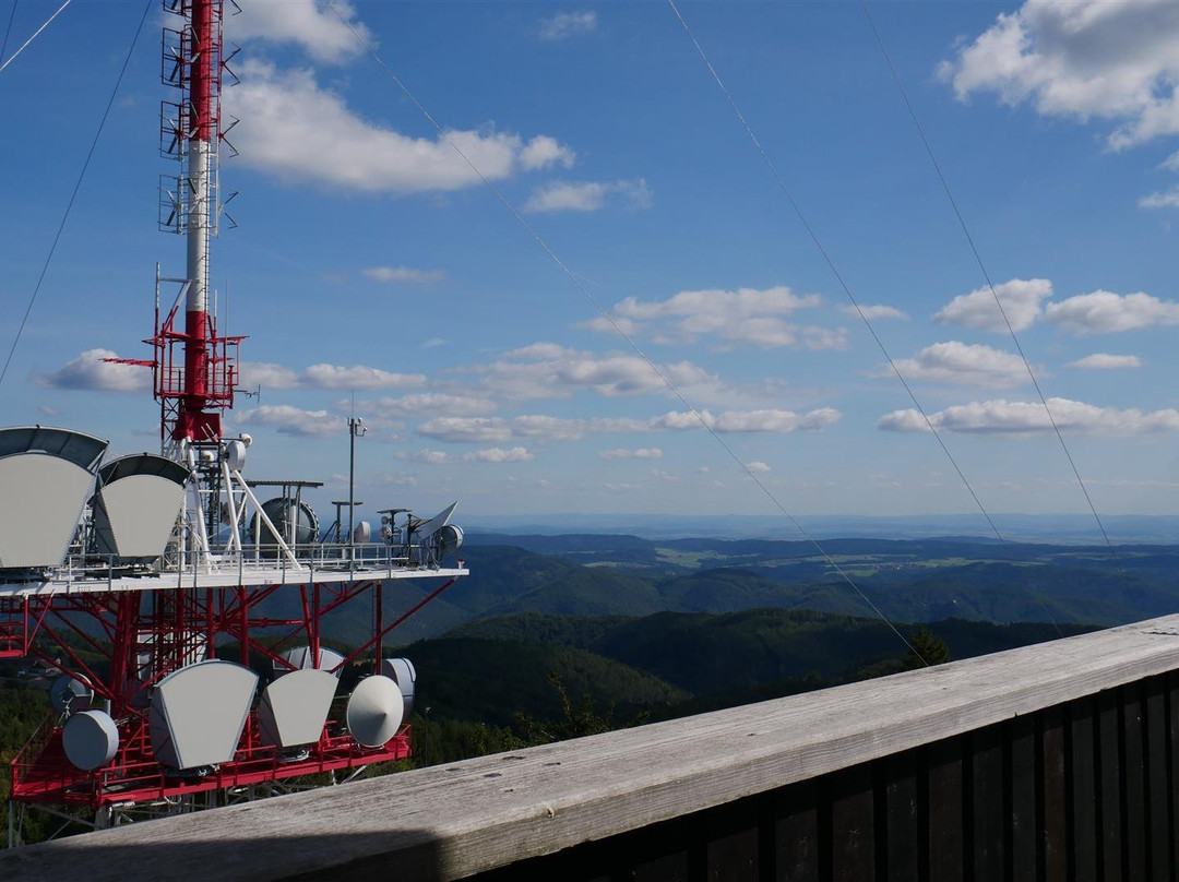 Aussichtswarte Jauerling景点图片