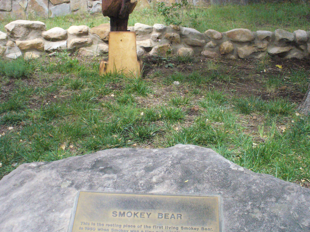 White Oaks旅游景点-Smokey Bear Museum and Gift Shop
