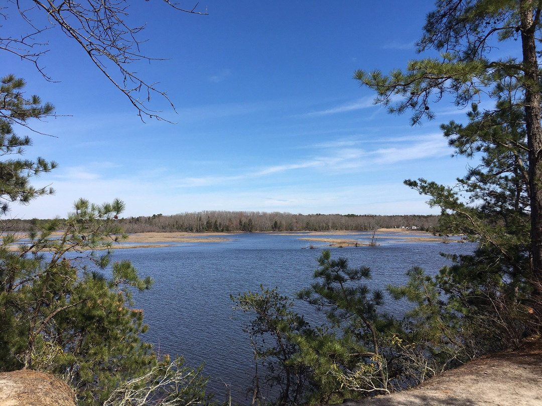 Maurice River Bluffs  Nature Preserve景点图片