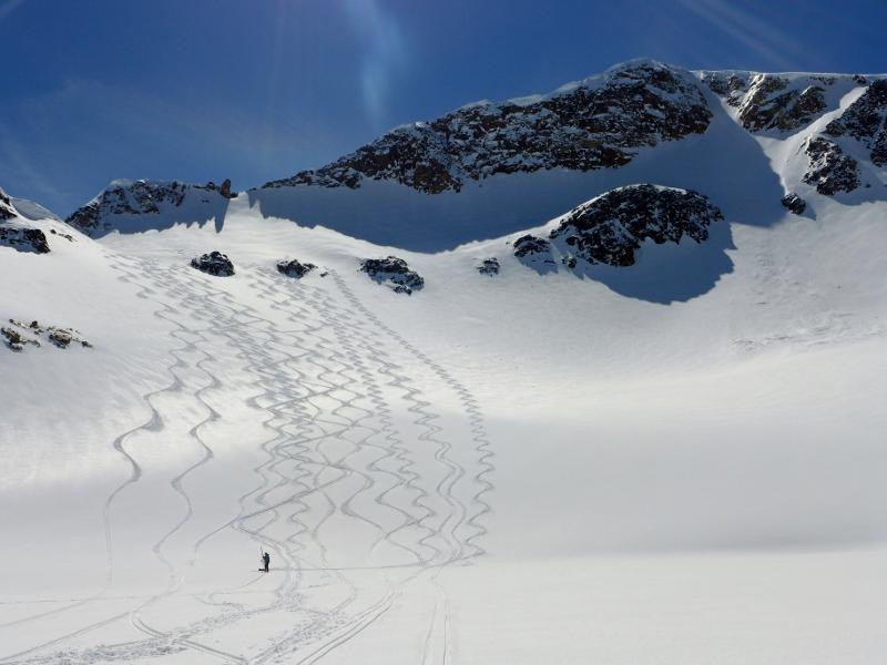 Beartooth Powder Guides景点图片