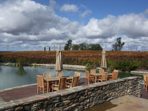 Grapeline Wine Tours, Paso Robles-帕索罗布尔斯必去景点