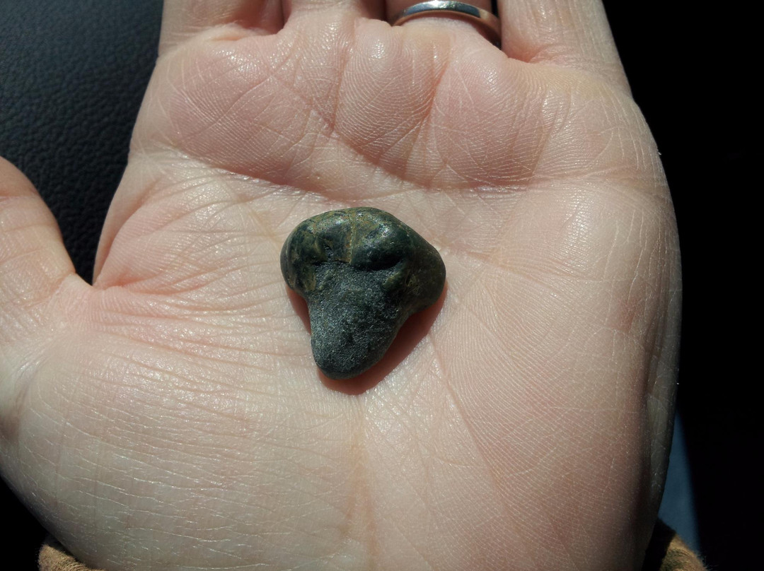 坎布里亚旅游景点-Shamel Park