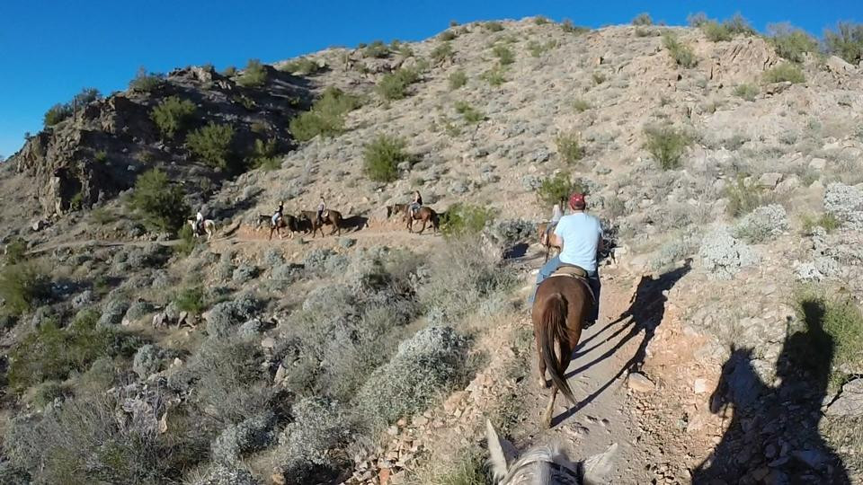 San Tan Valley旅游景点-MD Ranch