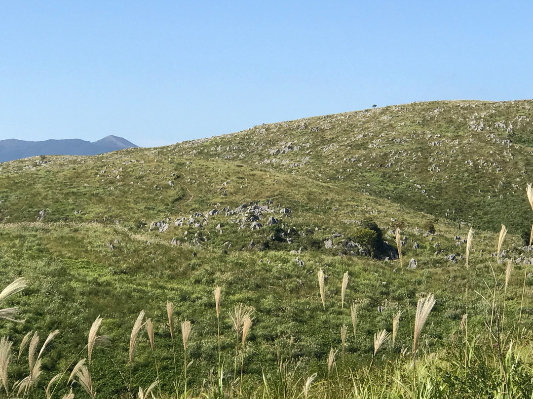 Akiyoshidai Observation Trail景点图片