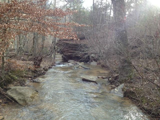 The Ridge Adventure Park-Springville必去景点