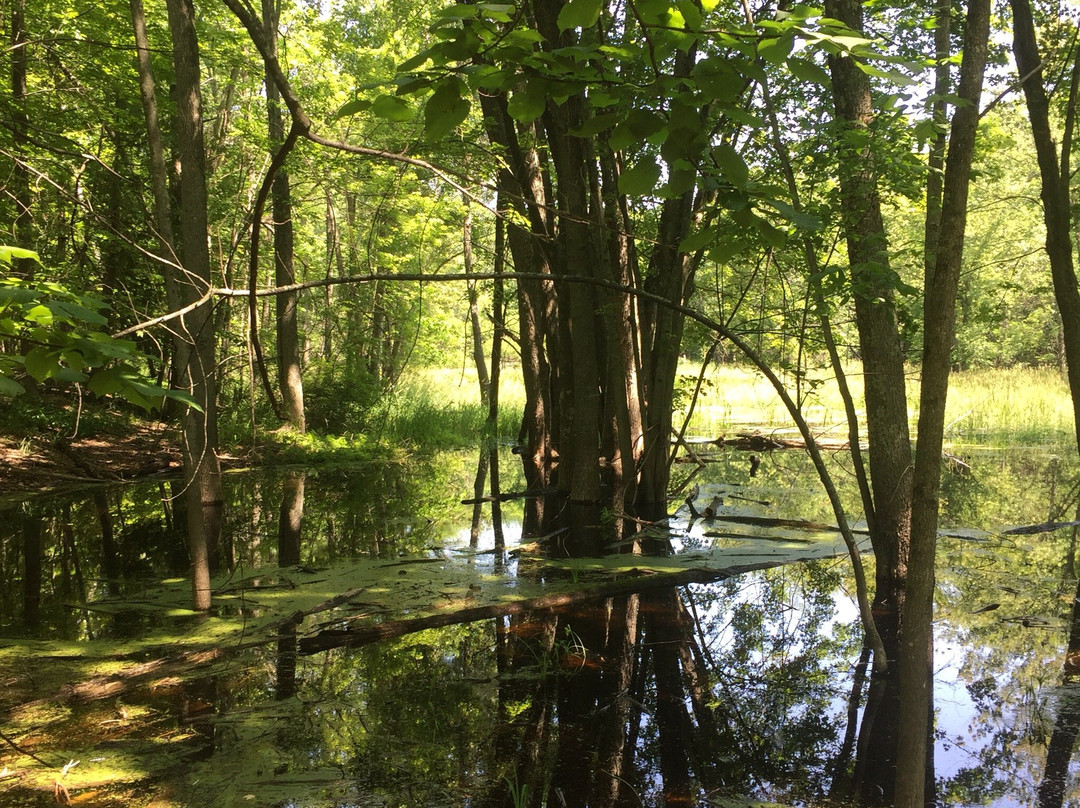 Ephraim Preserve at Anderson Pond