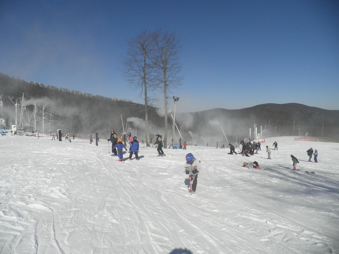 Wintergreen Ski Area景点图片