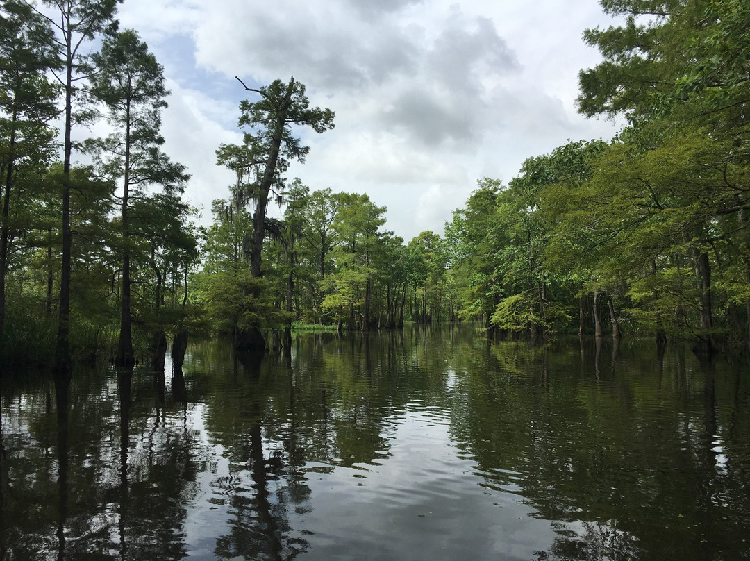 Neches River Adventures-博蒙特必去景点