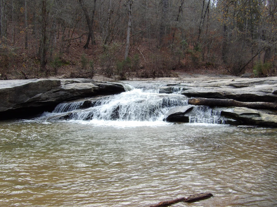 Musgrove Mill State Historic Site景点图片