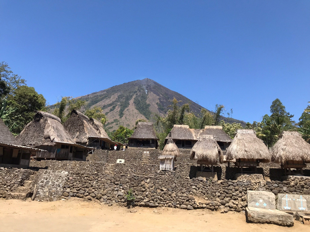 (Madja) Edelweis Homestay主图