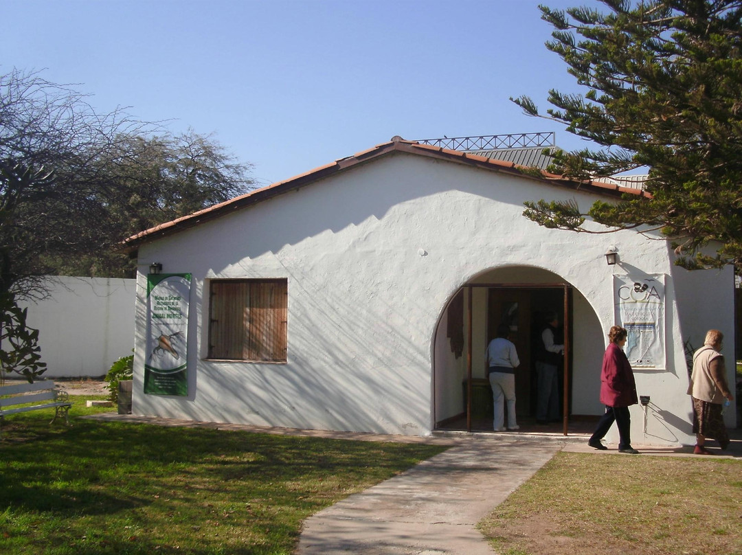 Museo de Ciencias naturales Anibal Montes景点图片