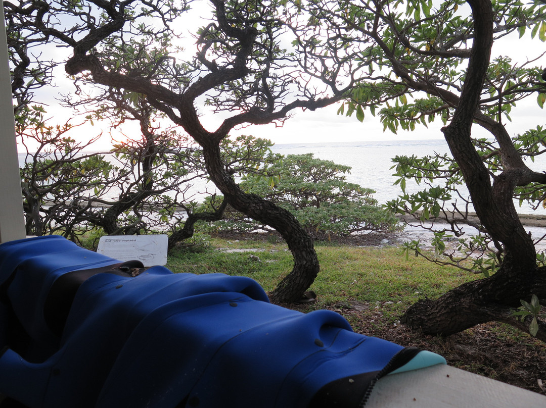 伊丽特女士岛度假村主图