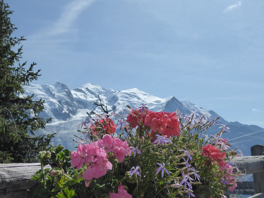 Le Labrador Hotel主图