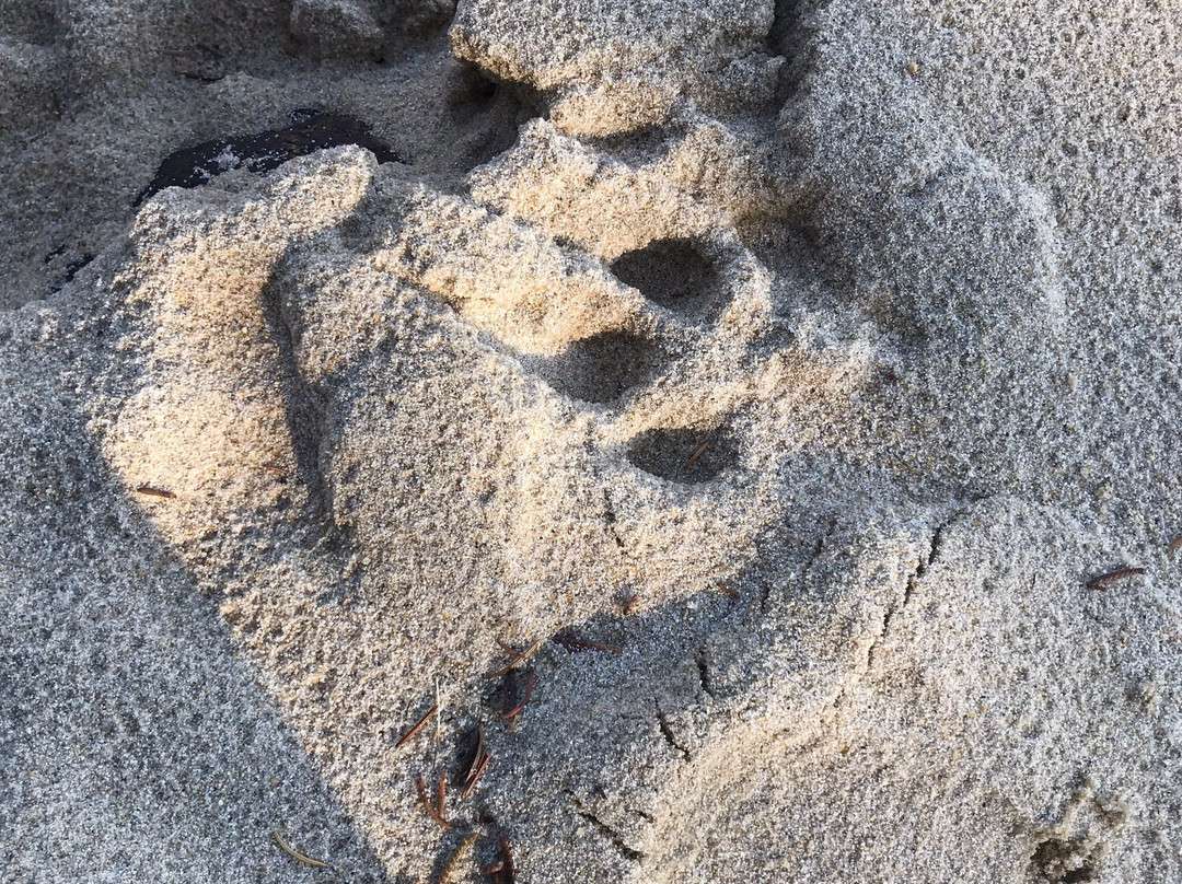 Murtle Lake Provincial Park-Blue River必去景点