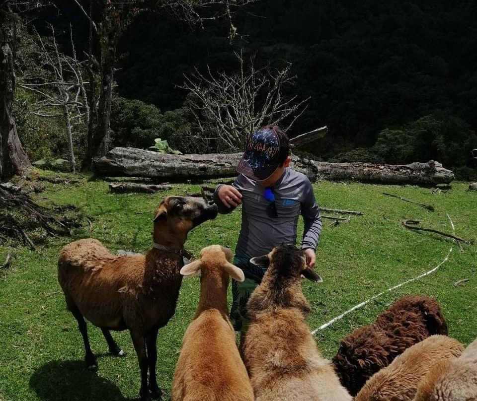 Bajo Mono Camping Site Cascada El Tatica景点图片