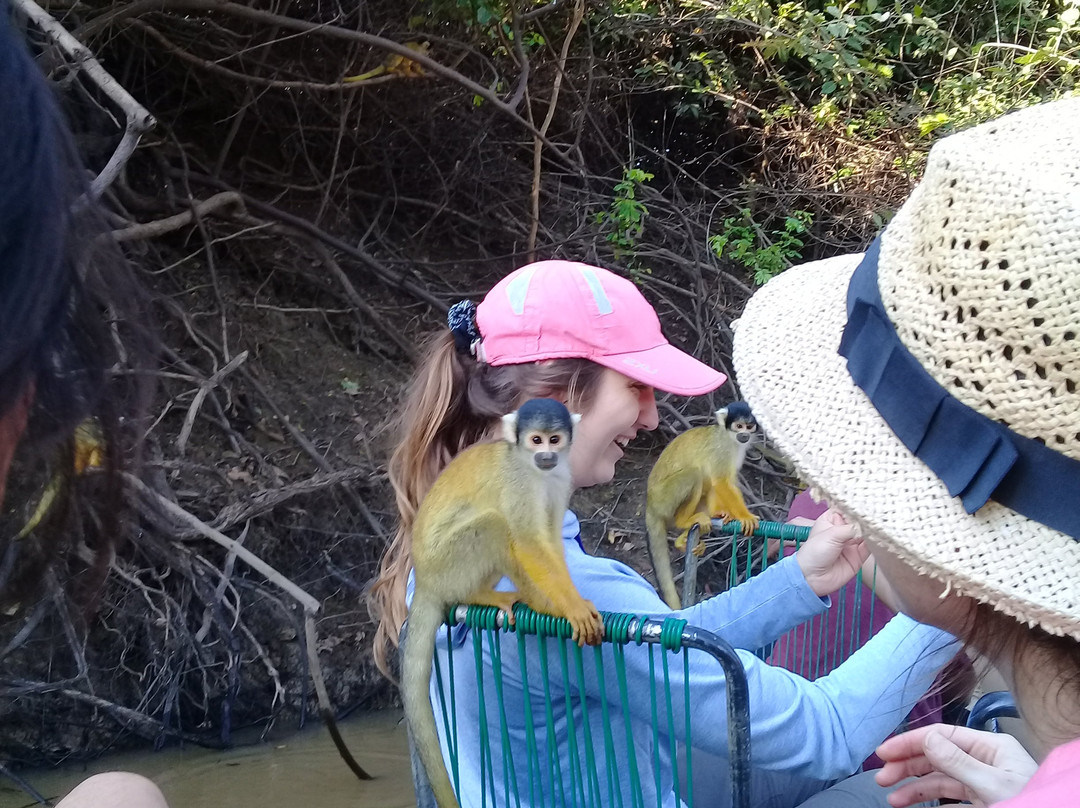 River Yacuma-Rurrenabaque必去景点