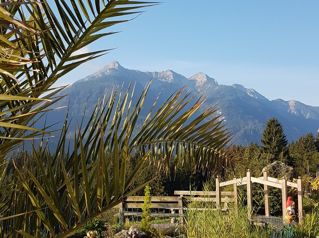 Hotel Glocknerhof主图