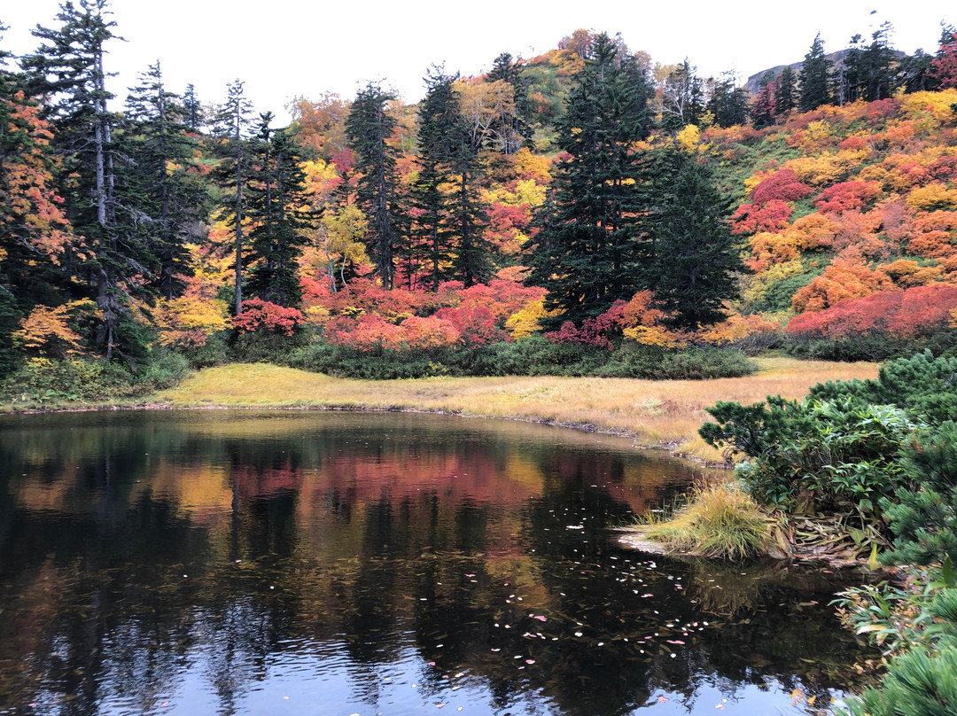 Daisetsu Kogen Swamp-上川町必去景点