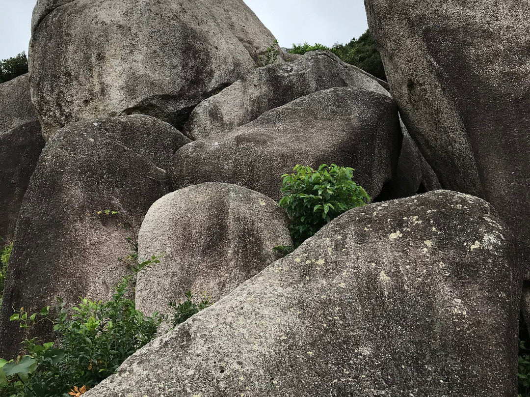 Tojindaiba Ruins-土佐清水市必去景点