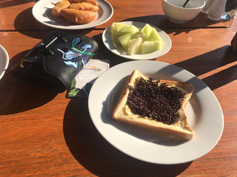 达戈高原度假村主图