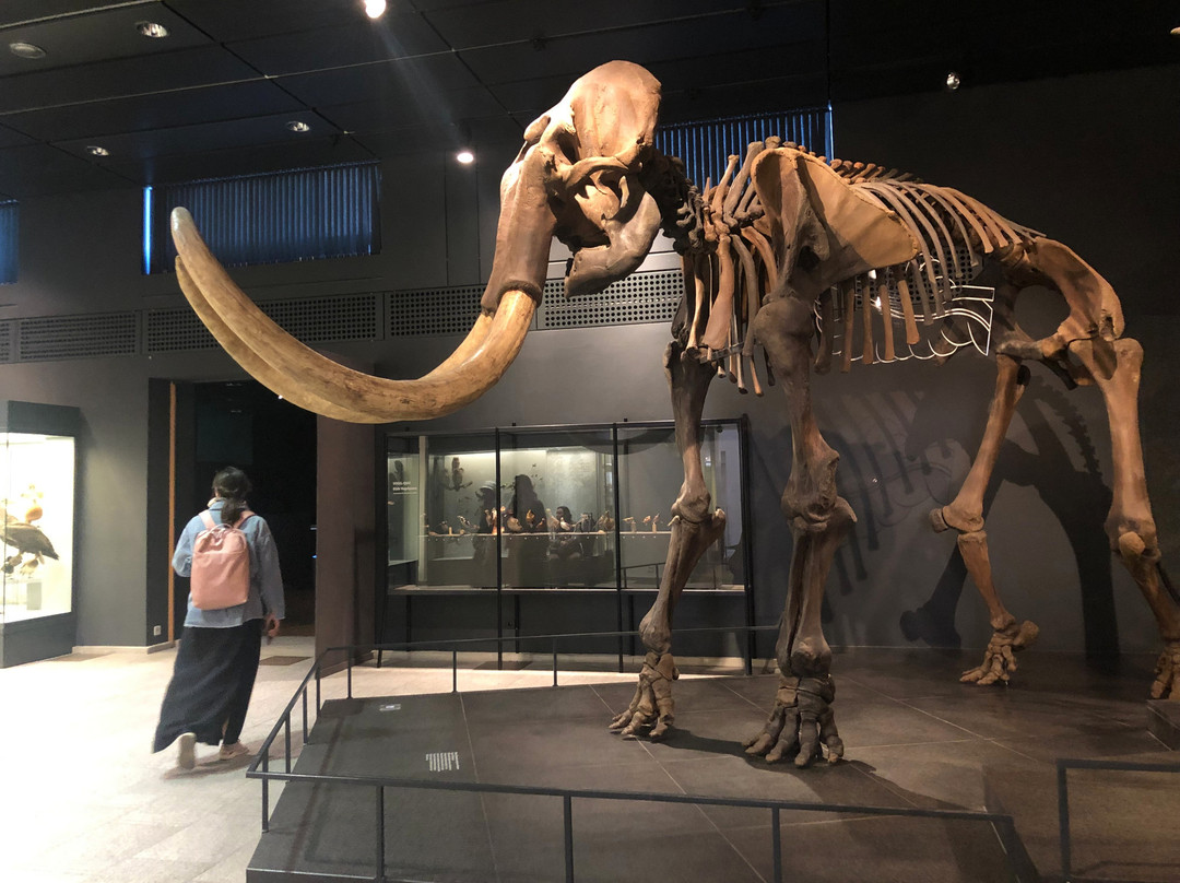 Zoologisches Museum der Universität Zürich景点图片