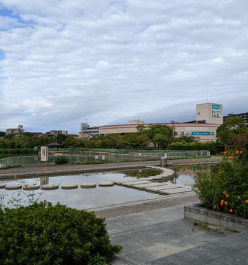 Ichibaike Park-摄津市必去景点