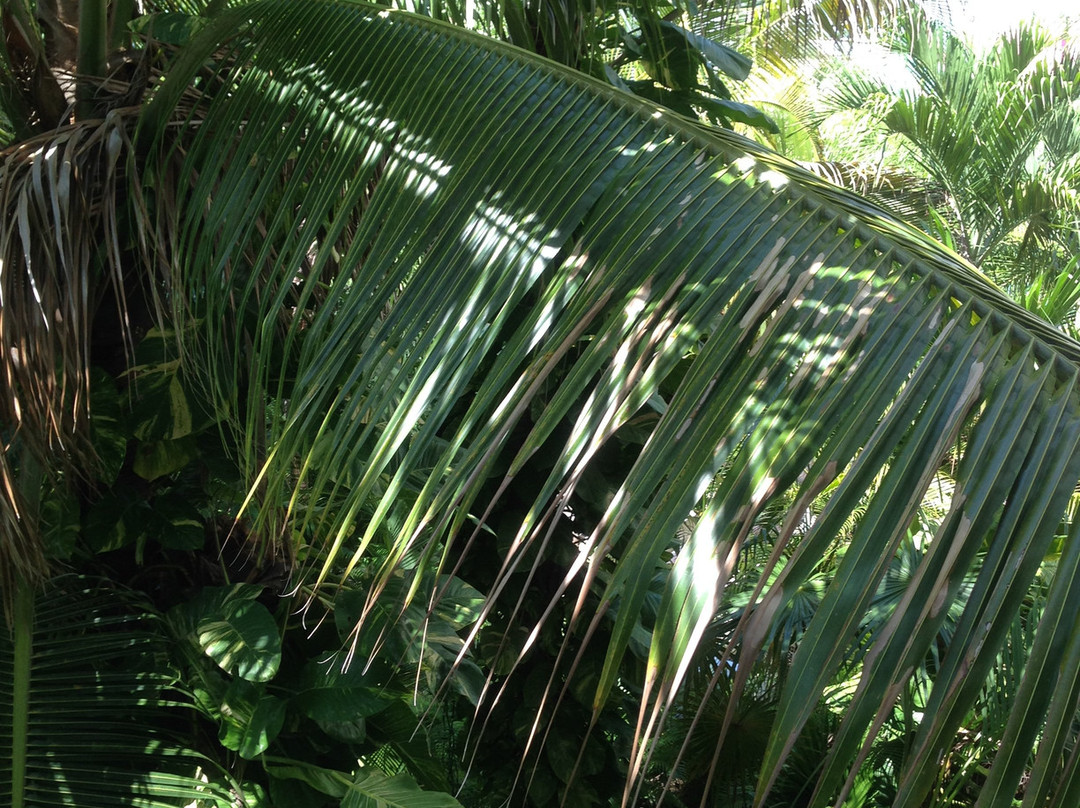 棕榈海滩酒店主图