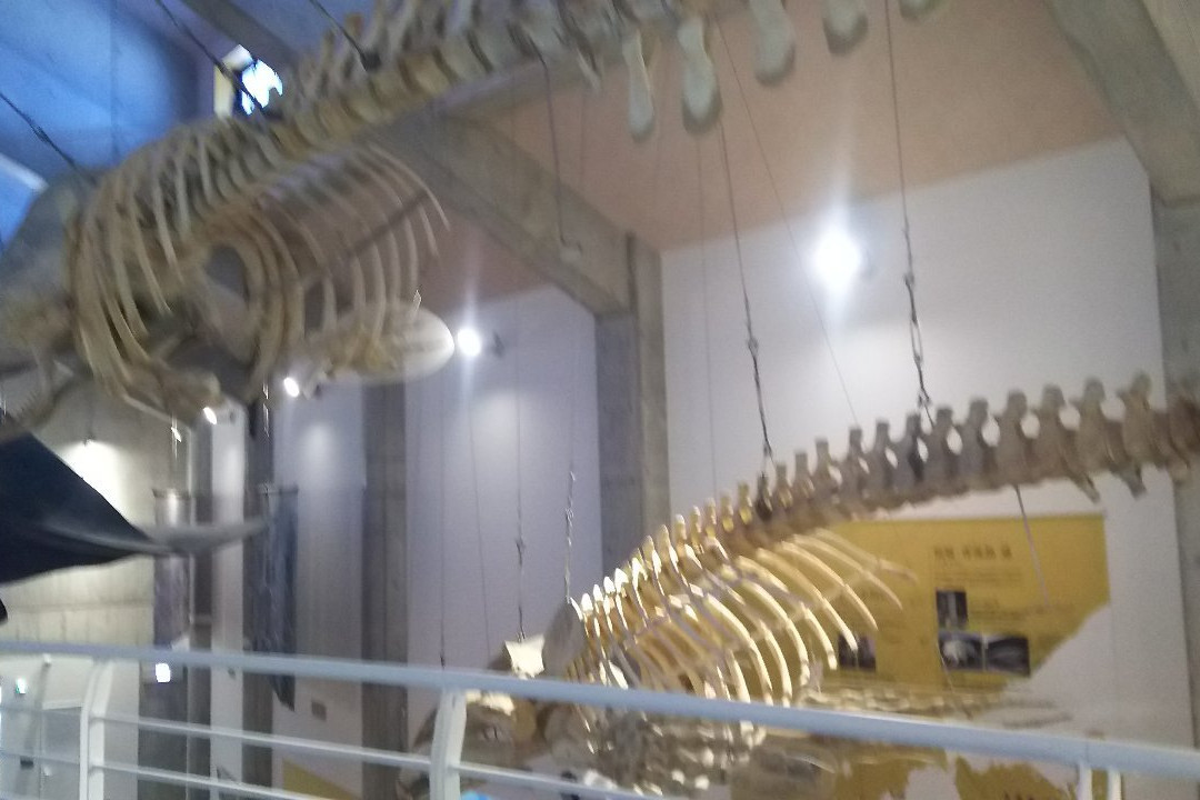 Michi-no-Eki Kiramesse Muroto-室户市必去景点