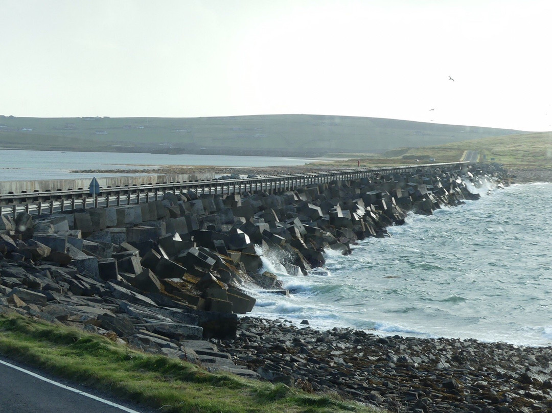 Maxi Day Tour of Orkney景点图片