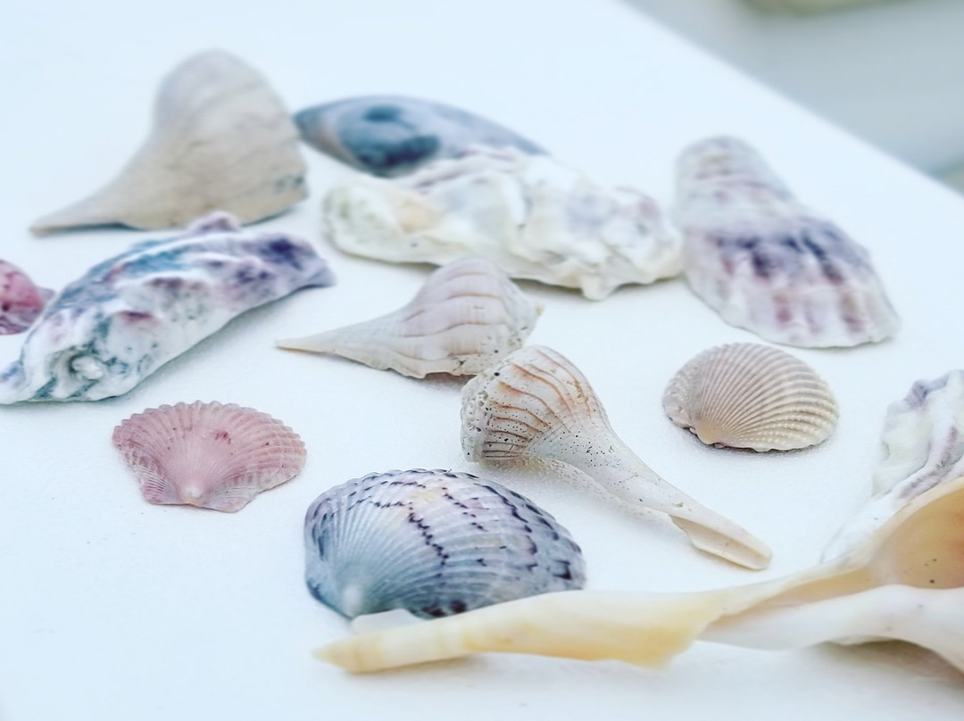 Cape Romano-马可岛必去景点