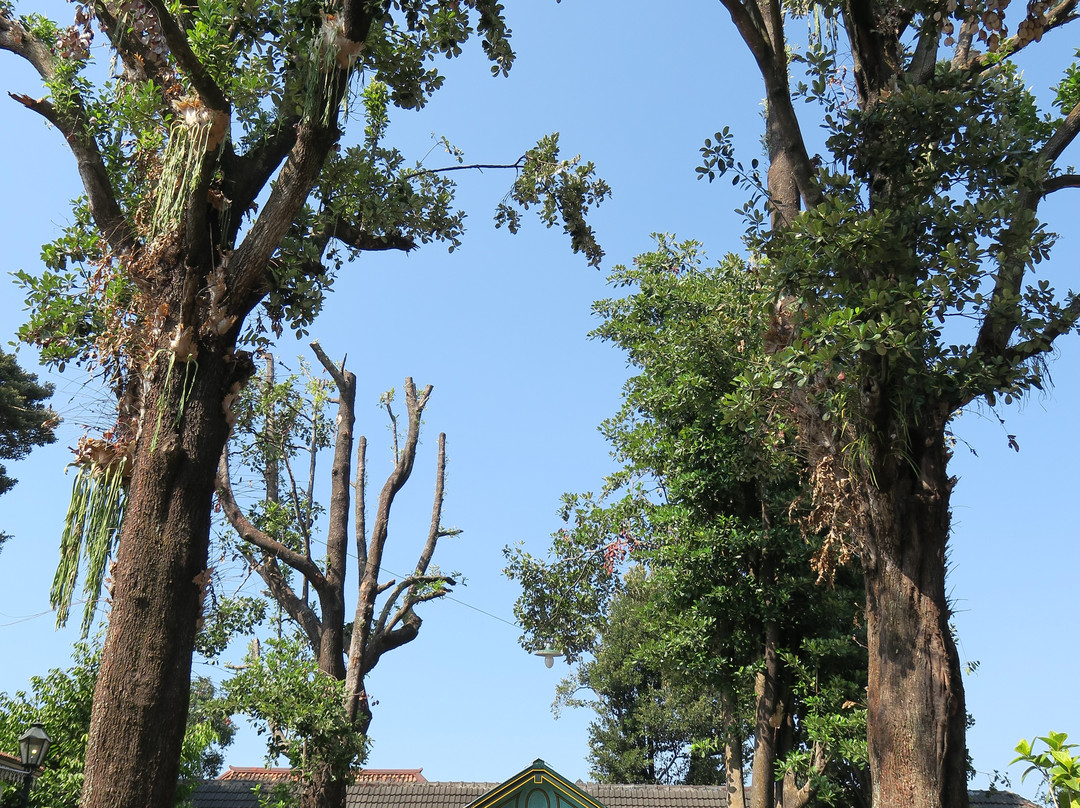 Yogyakarta Palace-Yogyakarta必去景点