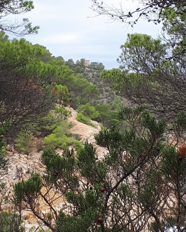 Torres des Molar-Port de Sant Miguel必去景点