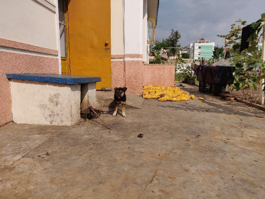 Chongsan-ri Cooperative Farm-Nampo必去景点