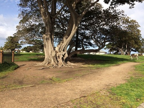 Mornington Park景点图片