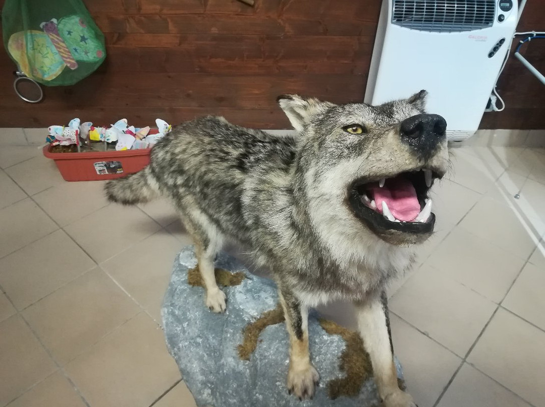 Centro Visitatori "Tradizioni e biodiversita in una valle fantastica"-Ronco Canavese必去景点