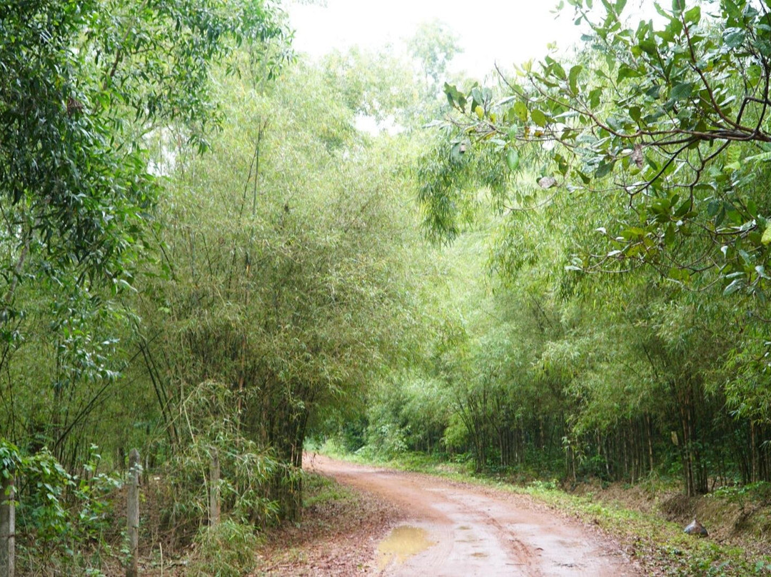Vietnam Loka Tour景点图片