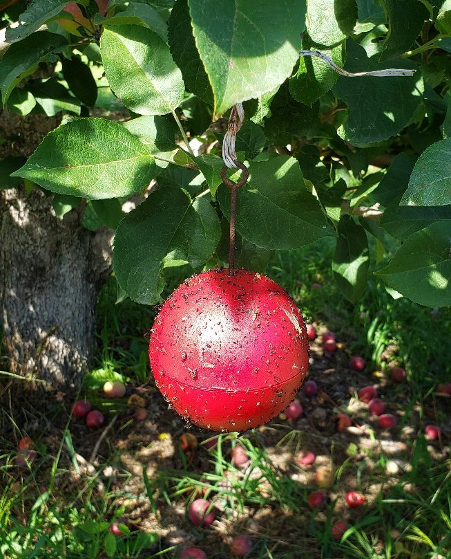 Riverview Farm-Plainfield必去景点