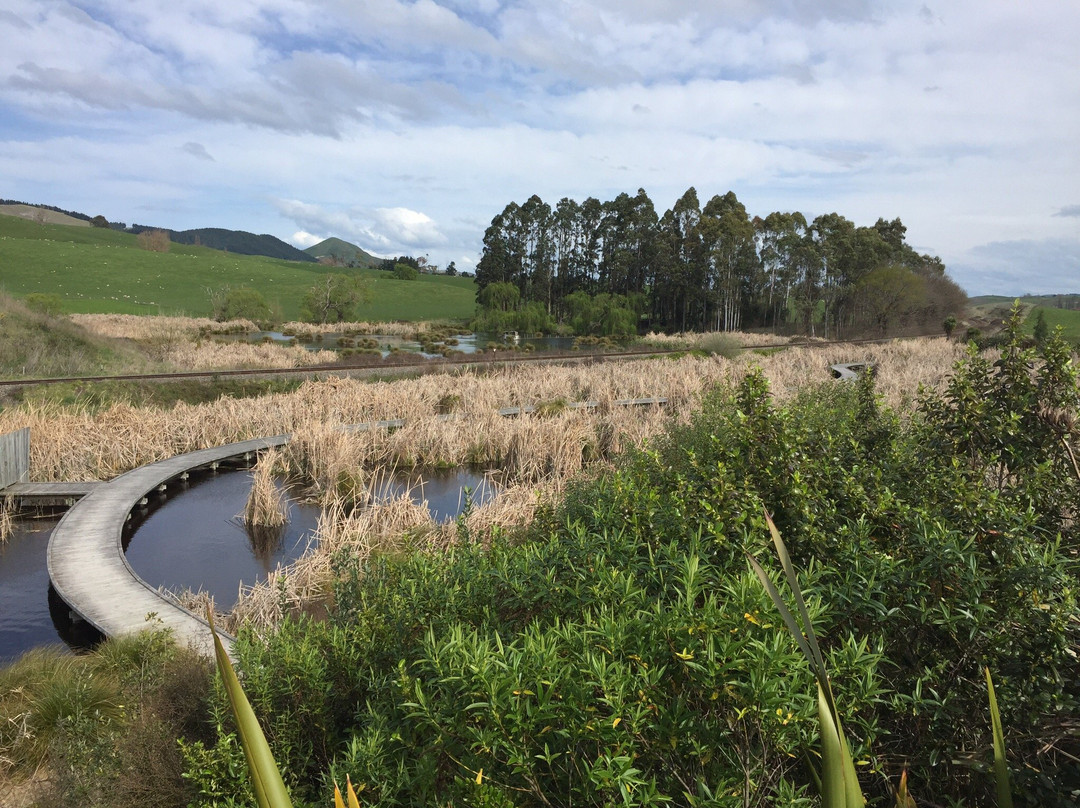 Pekapeka Wetlands景点图片