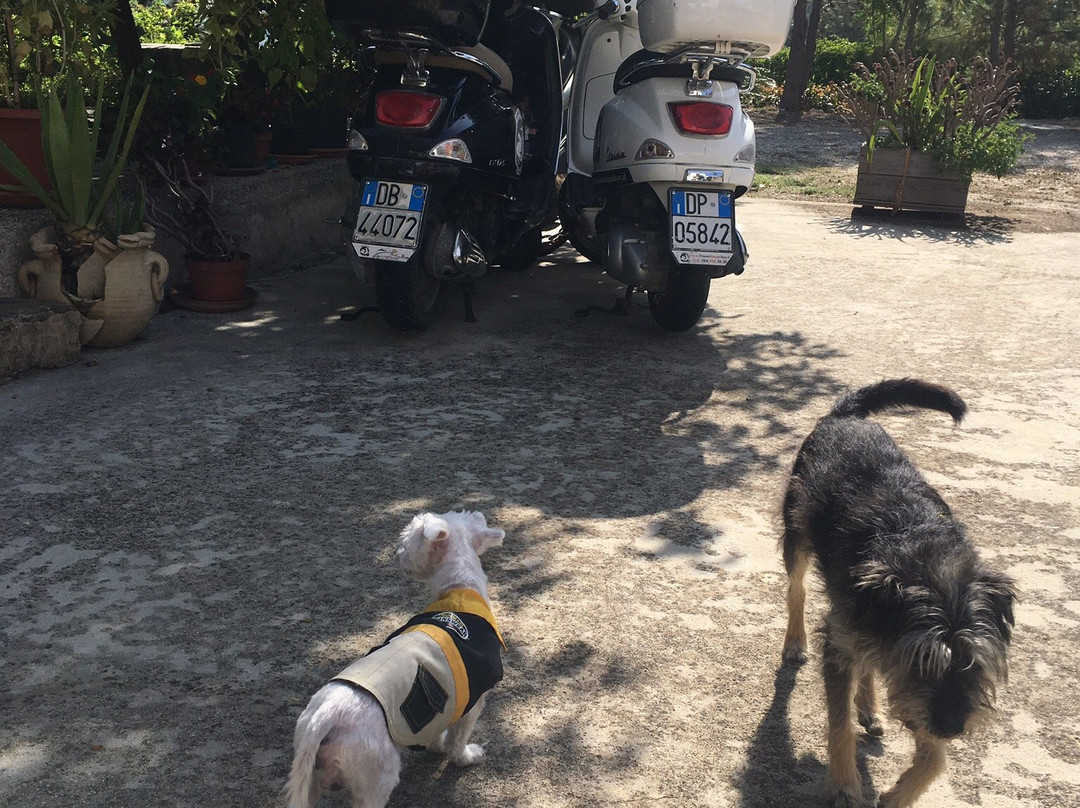 B&B Baglio Ferlito主图