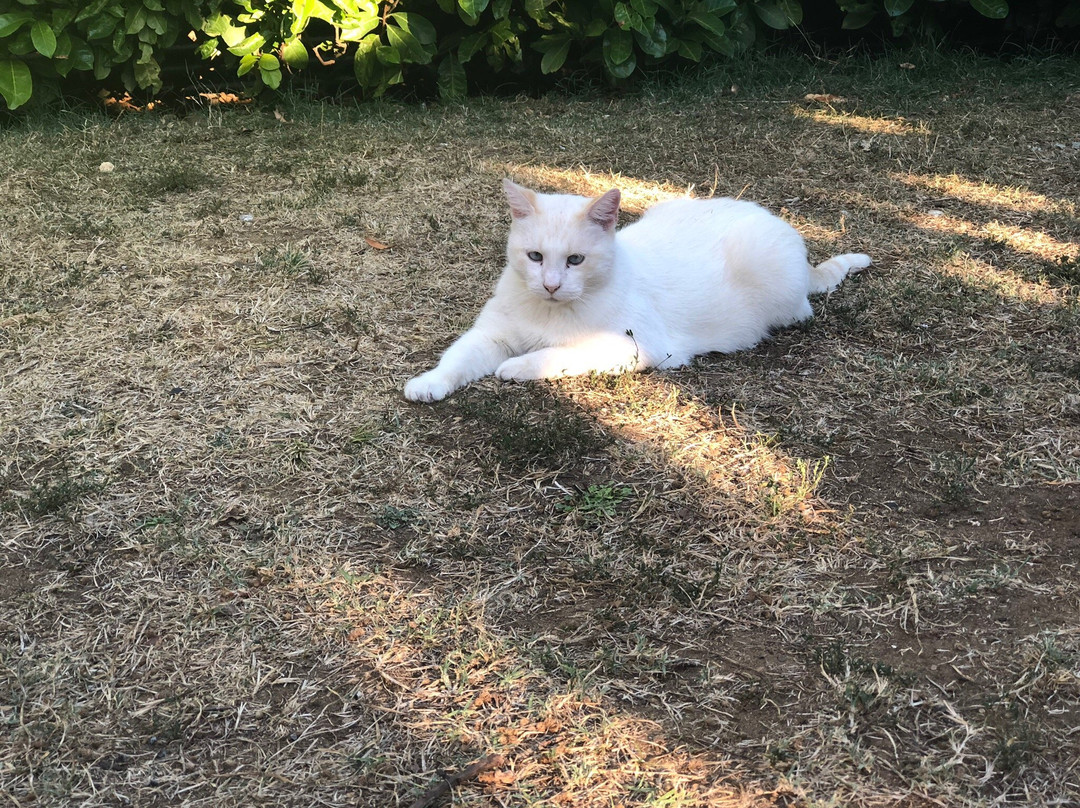 Chambres de Pech Mortier主图