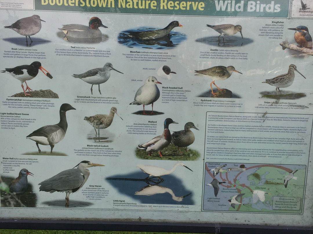 Booterstown Bird Sanctuary-都柏林必去景点