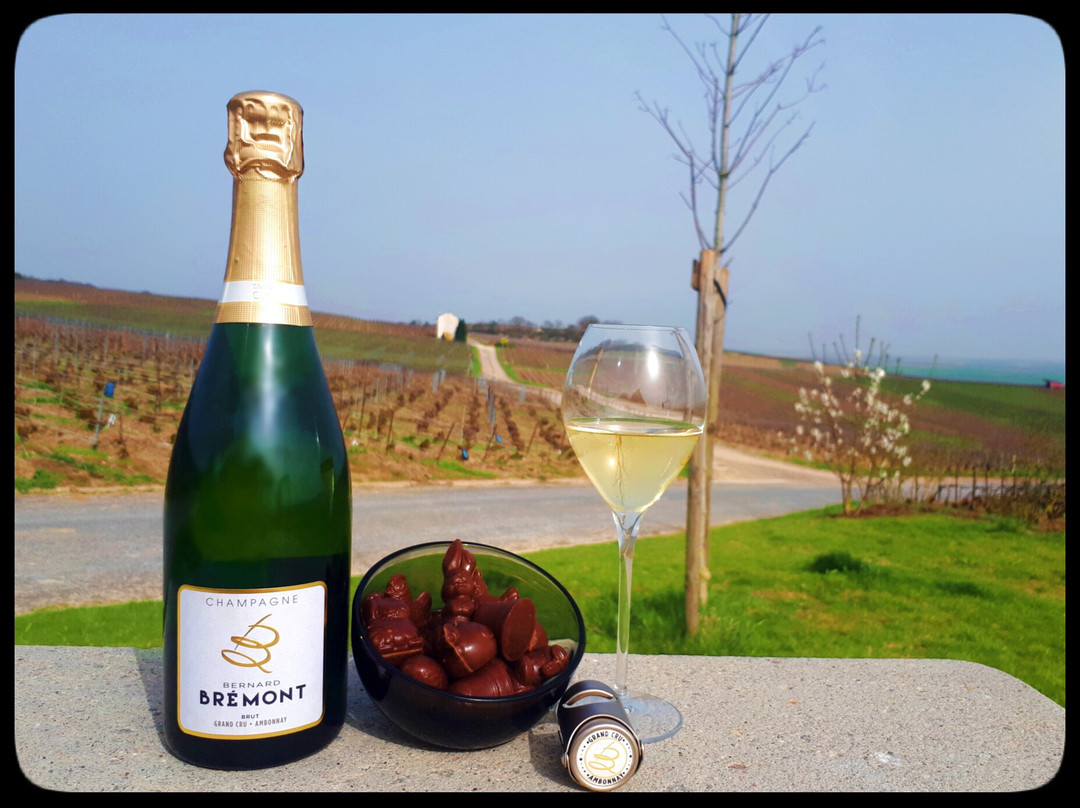 Champagne Brémont景点图片