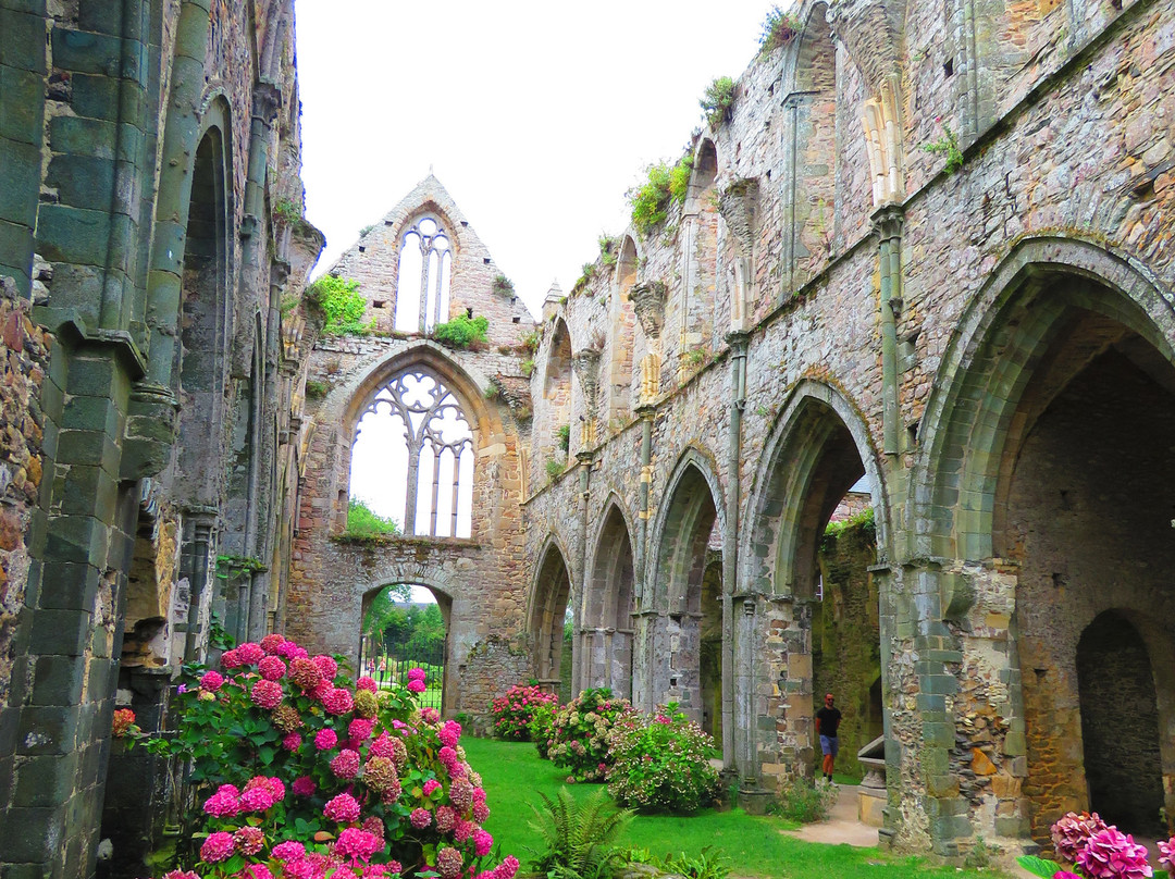 Abbaye de Beauport景点图片