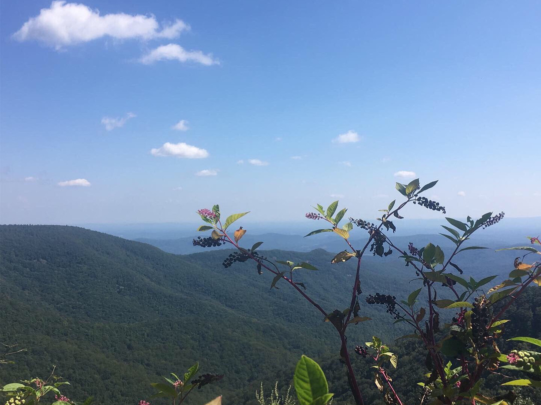 Doughton Park Campground and National Recreation Area景点图片