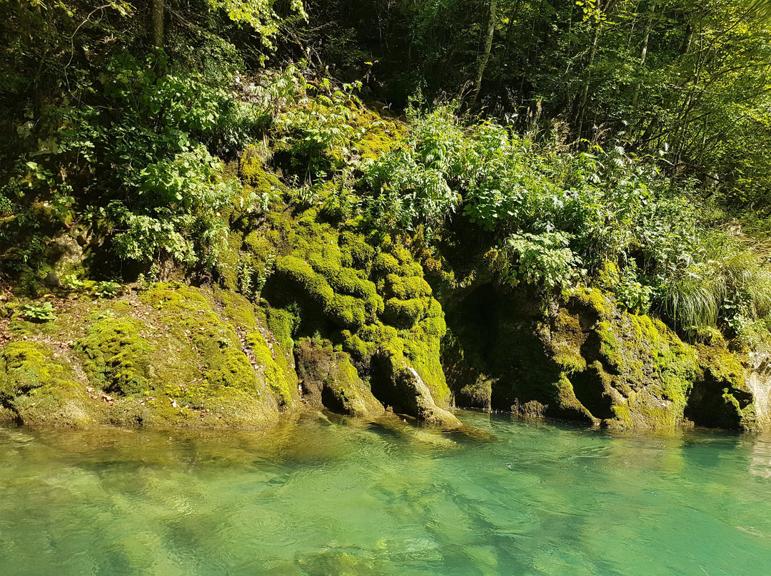 Tara Canyon Raft-Foca必去景点