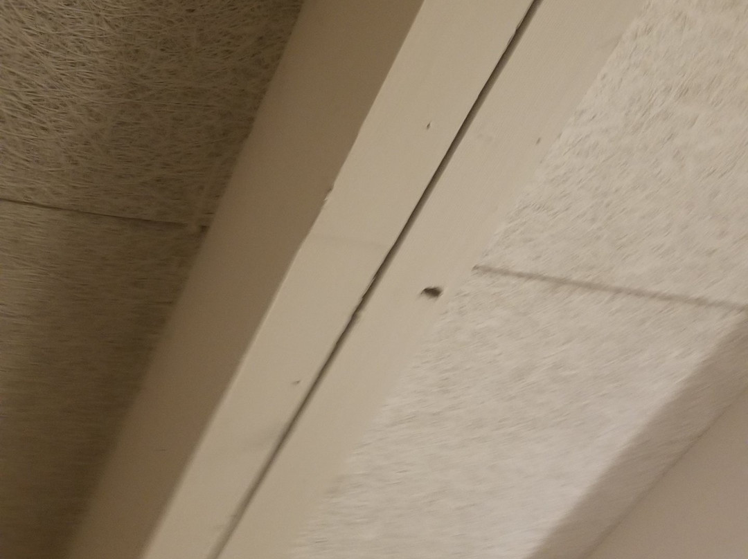 Travelodge by Wyndham Watertown主图