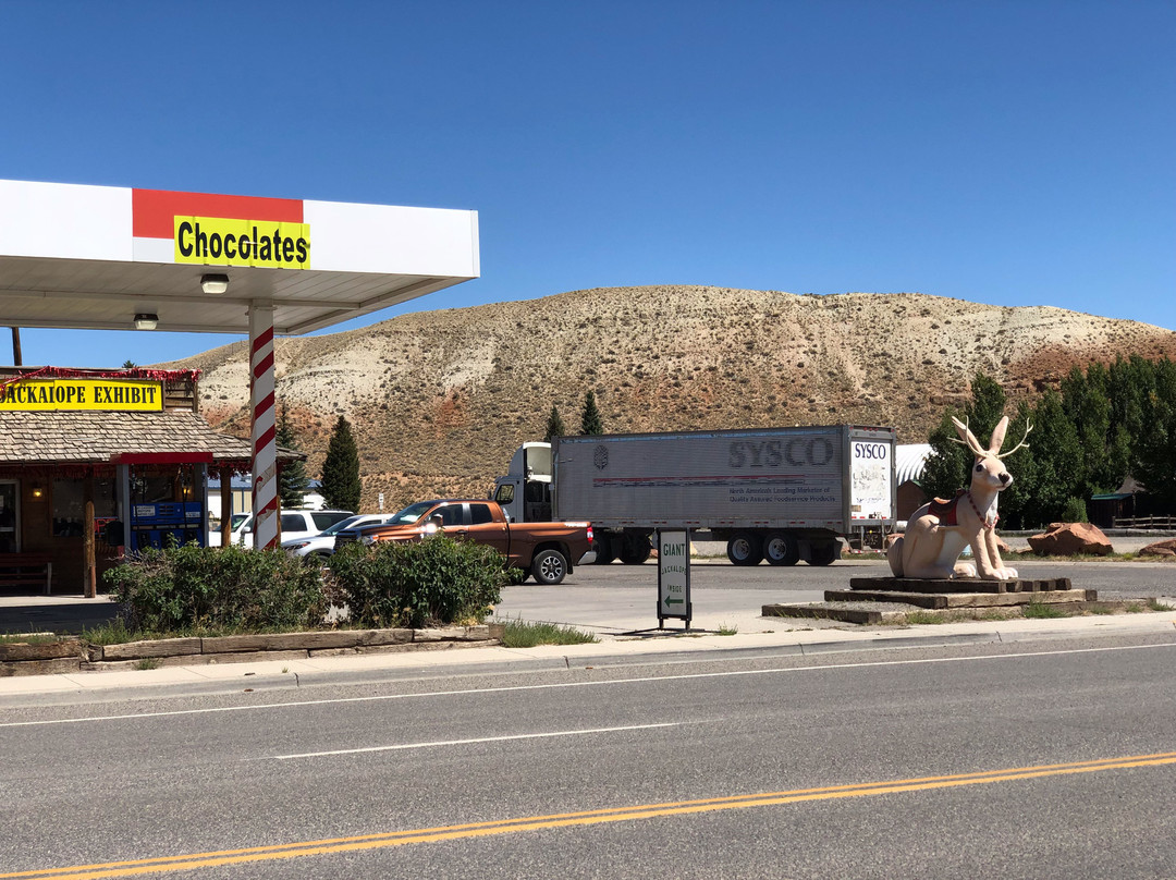 Giant Jackalope Exxon Country Store景点图片